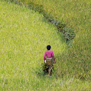 Nepal_25