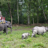 Nepal_31