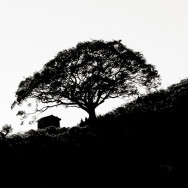 Nepal_41