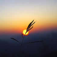Nepal_43
