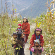 Nepal_50