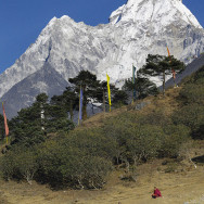 Nepal_51