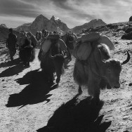 Nepal_57