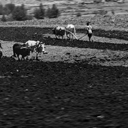 Ethiopia 02