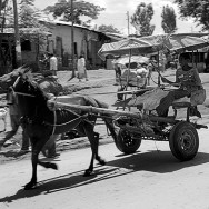 Ethiopia 03