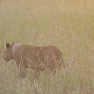 Kenia 06