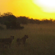 Kenia 07