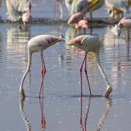 Kenia 14