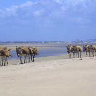 Kenia 21