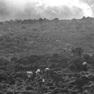 Tanzania 18