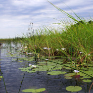 Botswana 16
