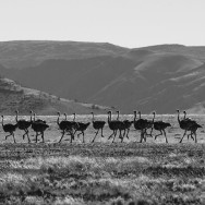 Namibia 33