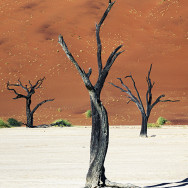 Namibia 25