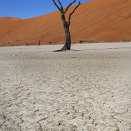 Namibia 26