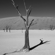 Namibia 27