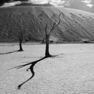 Namibia 28