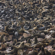 Namibia 37