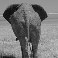 Namibia 46