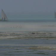 Tanzania 12