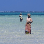 Tanzania 13