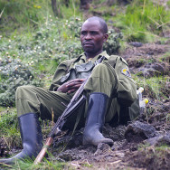 Congo 01