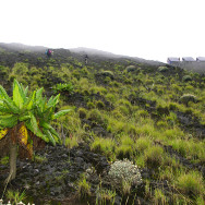 Congo 02