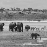 Malawi 08