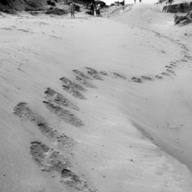Mozambique 15