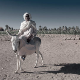 SUDAN 23