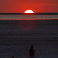 _IGP0897-