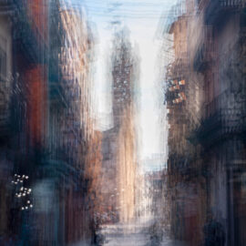 zzbra_09